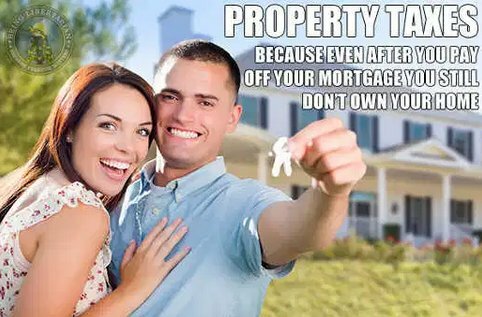Property Taxes