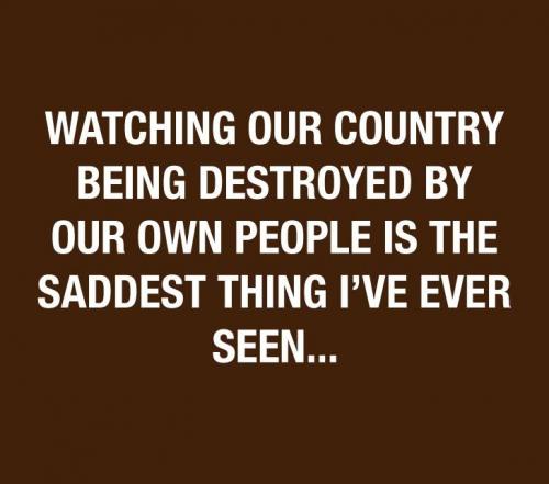 350353747_931437288094298_4564344192245929476_n