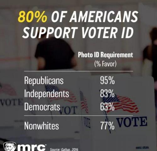 M voter ID