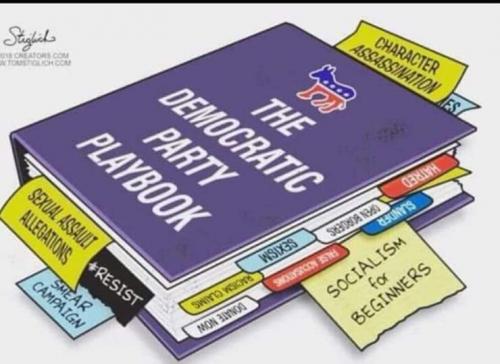 Democrat Party Playbook