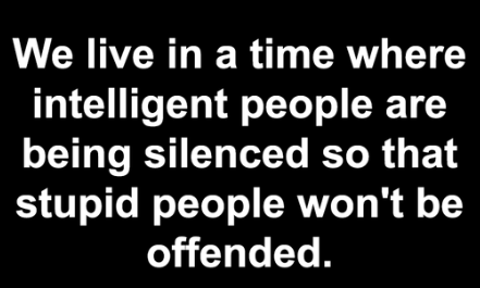 offend stupid people