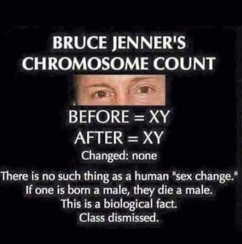 Chromosomes