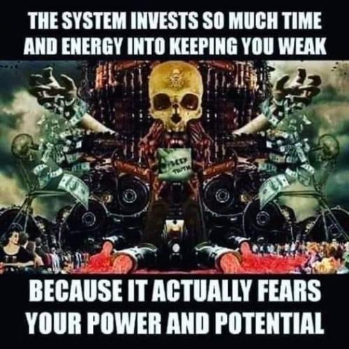 345619790_137749395951034_7944221969258098258_n