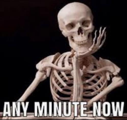 Screenshot_20230429-110109_Gallery