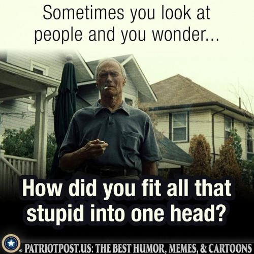 M fit stupid