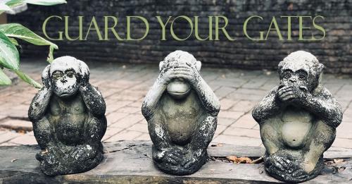 IMG_20230508_091431_611