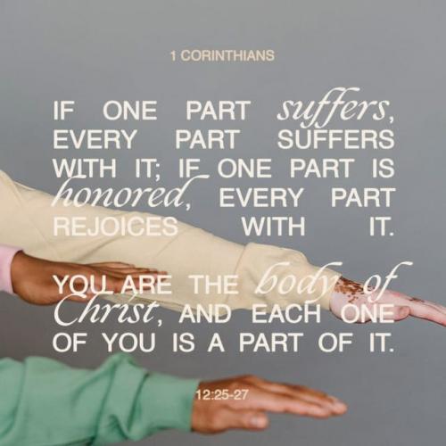 1 Corinthians 12.25-27