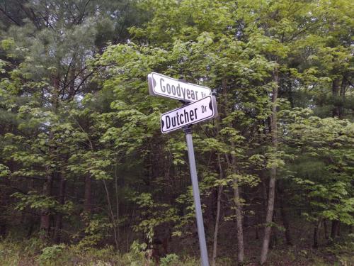 IMG_20230522_053911418