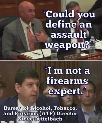 Assault_Weapon