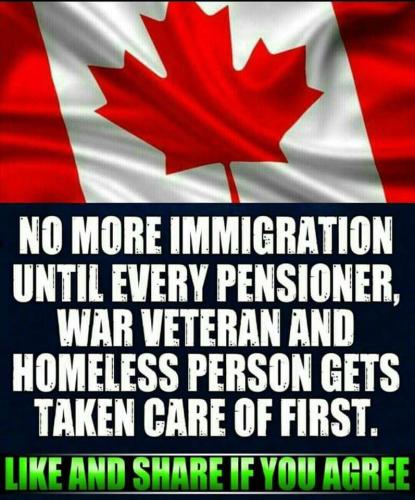 Immigration 2 - no more until assimilation is completed