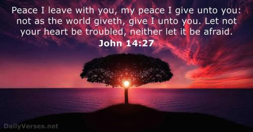 IMG_20230521_093239_033