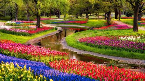 Keukenhoff Gardens Netherlands