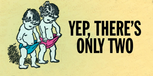 Yep, There's Only Two