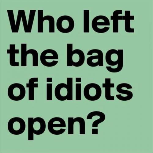 RO bag of idiots