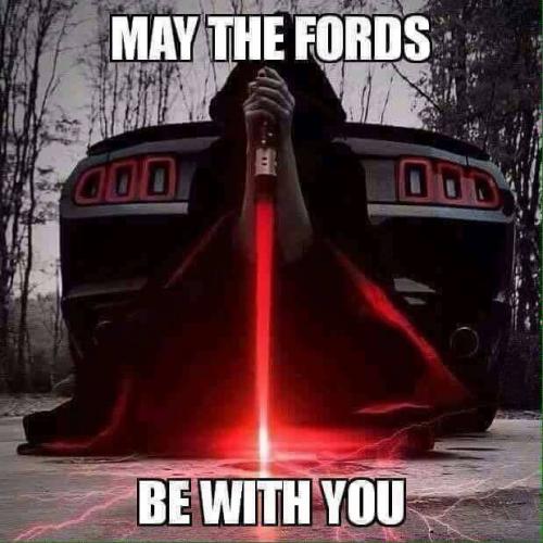 Cinco de Mayo - May the Fords be with you
