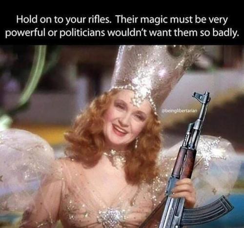 M hold on rifles