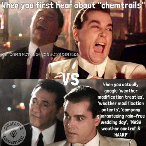 b501574f7349c0bbea44a3c9054b5417_768x0