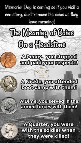 345464549_253361213843233_4146017764805381840_n