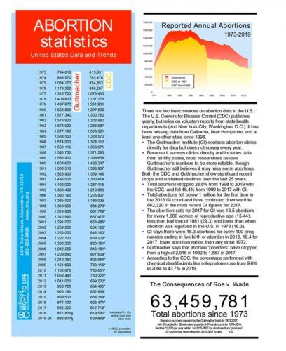 ABORTION STATS   GAB