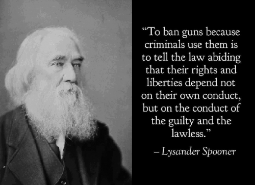 RO ban guns
