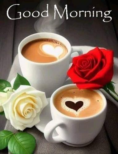 GM - coffee & roses