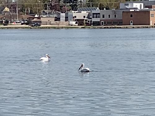 IMG_20230510_144121321