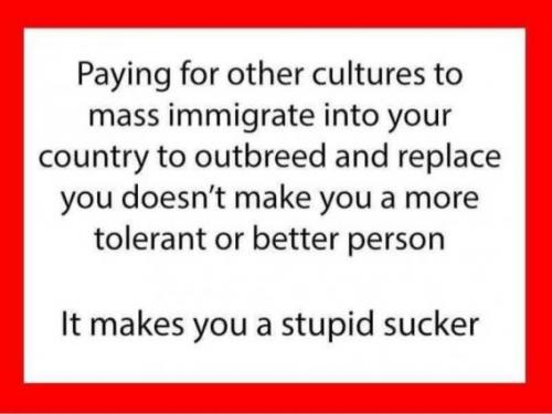 Stupid Sucker