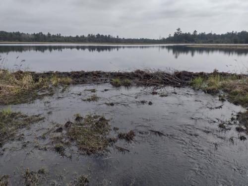 IMG_20230507_094125979_HDR