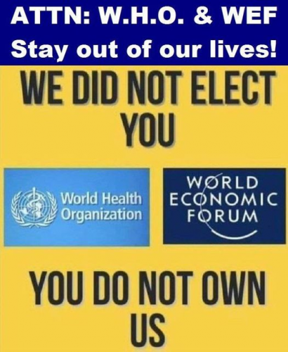 StayOut