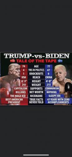 TRUMP VERSES BIDEN   TS