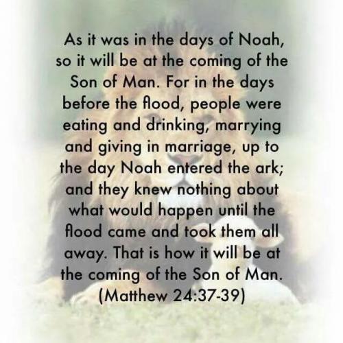 Matthew 24:37-39