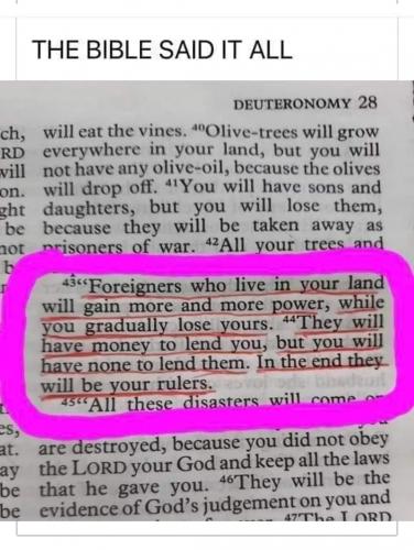 Screenshot_20230513_190332_Brave