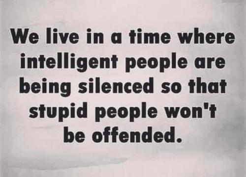 23417436-0639-4BD7-8C42-811C2DB386A4