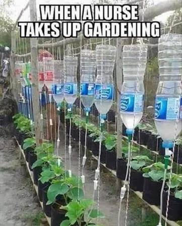 Nursing, Gardening