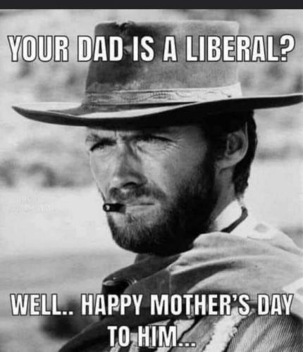 USA dad Lib