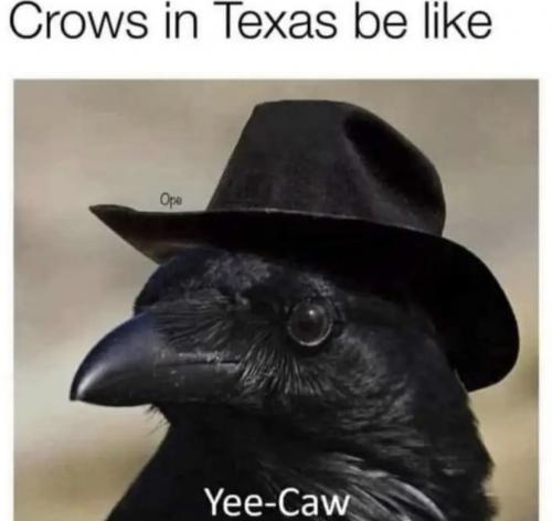 2f88a53b953e476f.jpeg