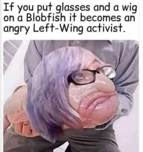 7CC53D5E-E29F-465F-8EC3-9D08B955E6D6