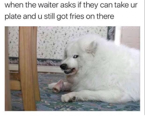 91f82ccfe8ccf4ab