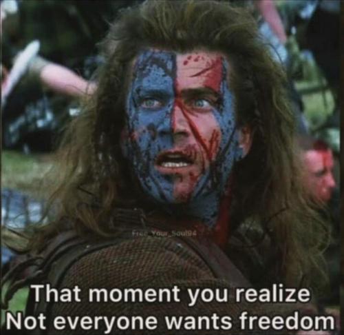 M freedom