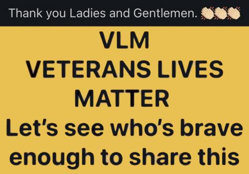 RO VLM