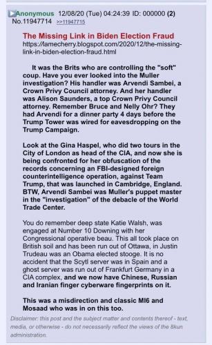 Missing Link - Biden Election