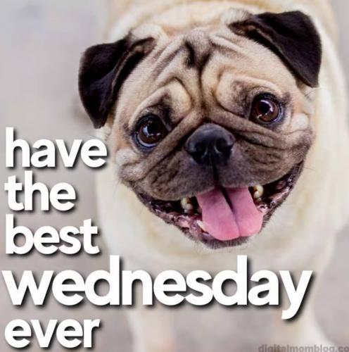 Have the best Wednesday