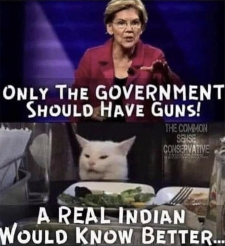 RO  government guns