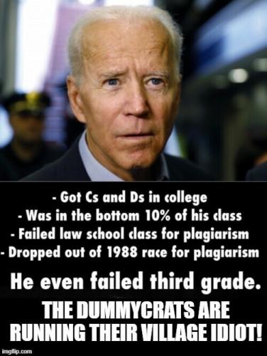 Biden - Village Idiot
