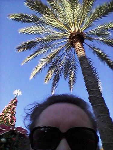FL at Christmas