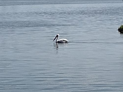 IMG_20230510_144045610