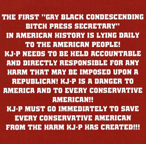 RO Press secretary