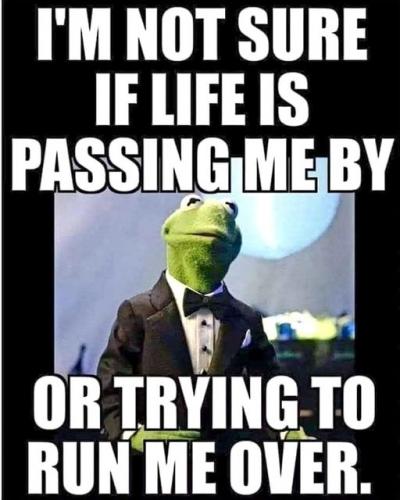 348812693_602113415222079_6597469714092770373_n