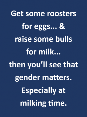 B gender matters