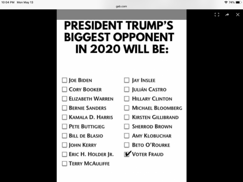 VoterFraud2019